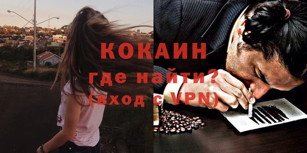 ешки Горняк